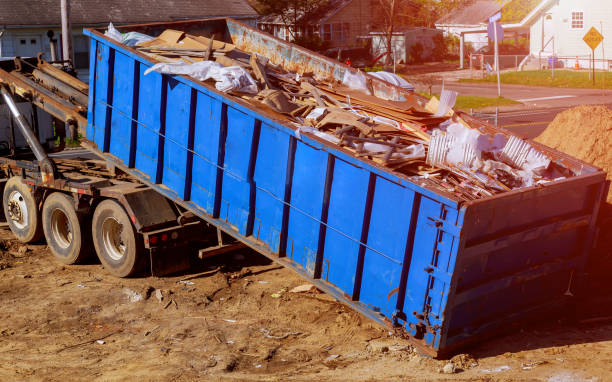 Best Hoarding Cleanup  in Roma, TX